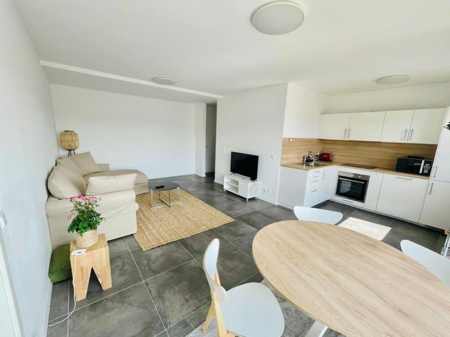 Large 1 Bedroom In Center With Terrace & Parking -67b Apartamento *